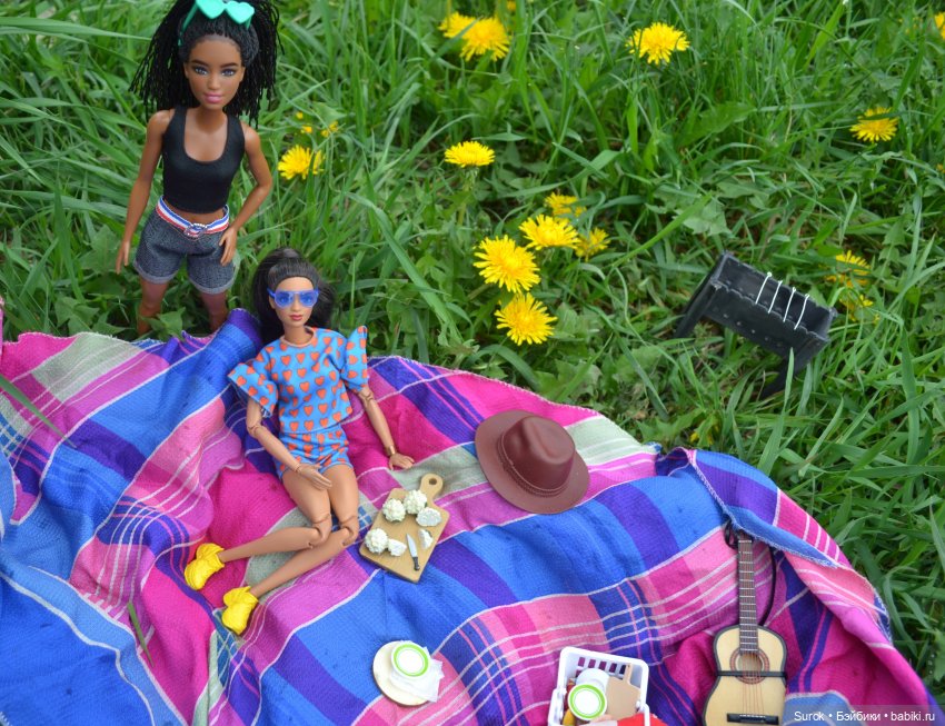 Пикник с "MadFox" — Куклы Barbie (Барби): Looks