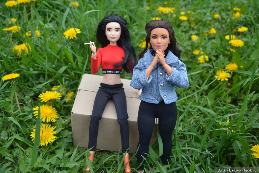 Пикник с "MadFox" — Куклы Barbie (Барби): Looks (фото 7)