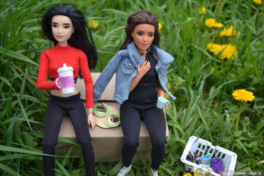 Пикник с "MadFox" — Куклы Barbie (Барби): Looks