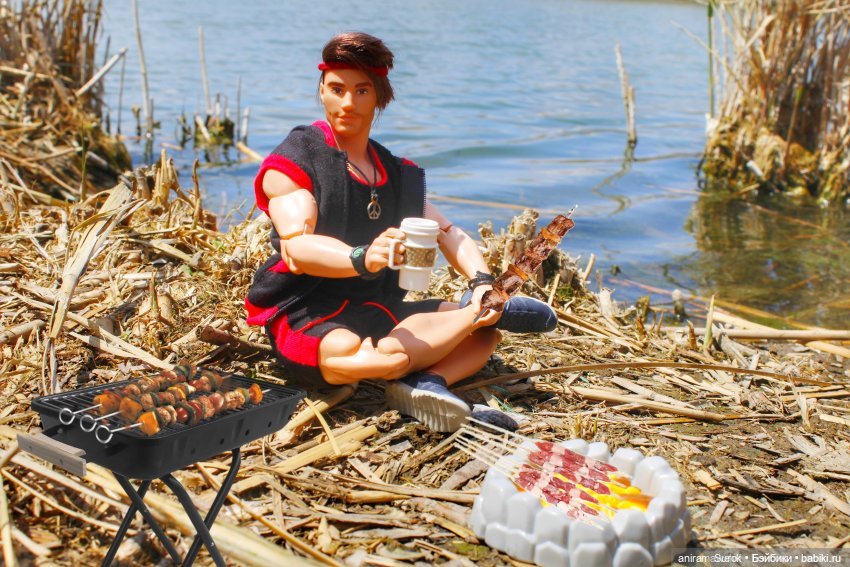 Пикник с "MadFox" — Куклы Barbie (Барби): Looks