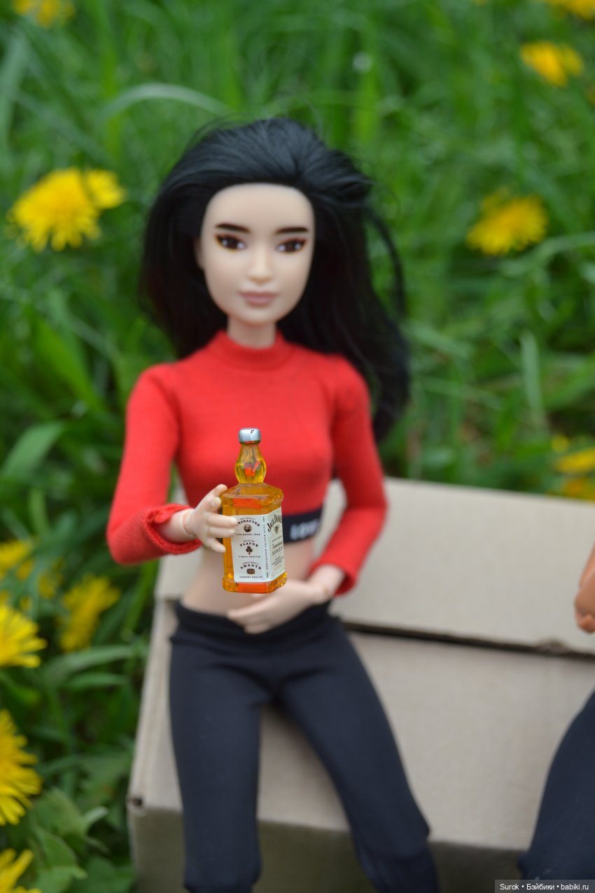 Пикник с "MadFox" — Куклы Barbie (Барби): Looks