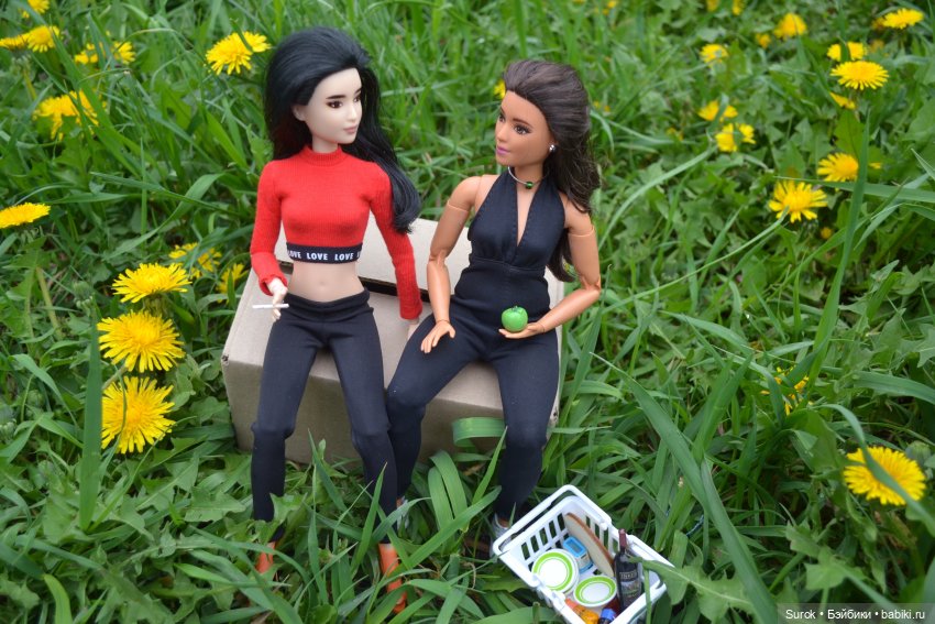 Пикник с "MadFox" — Куклы Barbie (Барби): Looks