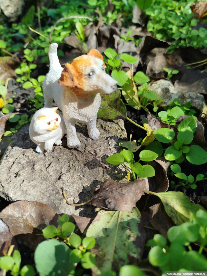 За кулисами Октоберфеста. Ч. 1