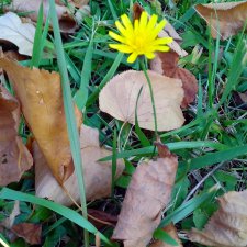 Беларусь - отзовитесь! Как пройти таможню?