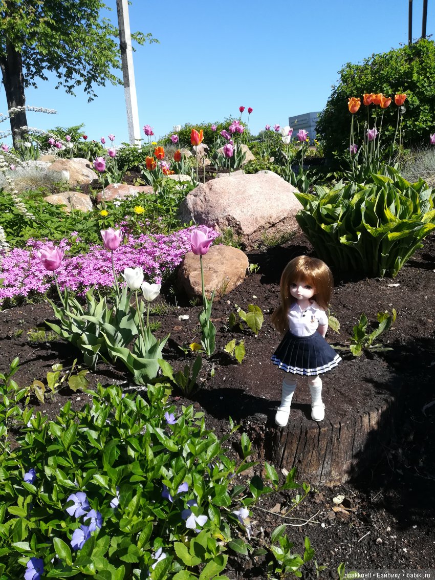 Как мы первый раз гулять ходили (фото 6)