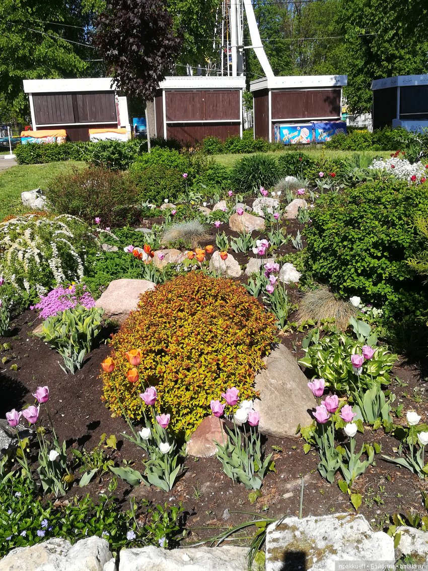 Как мы первый раз гулять ходили (фото 7)