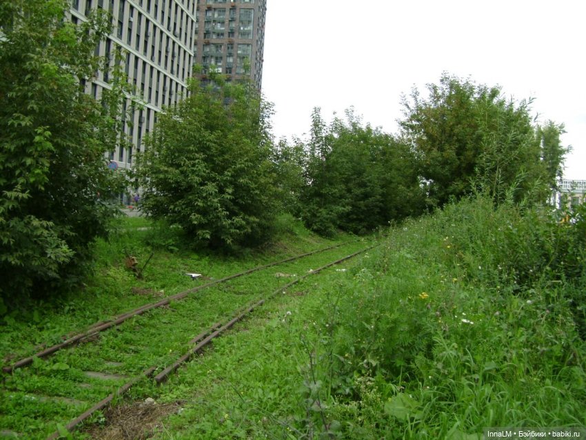 На заброшенной железнодорожной ветке