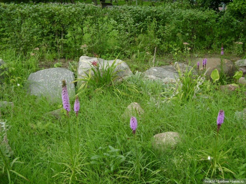 На заброшенной железнодорожной ветке