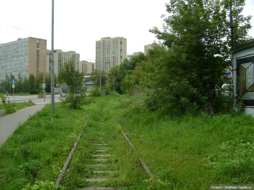 На заброшенной железнодорожной ветке (фото 2)