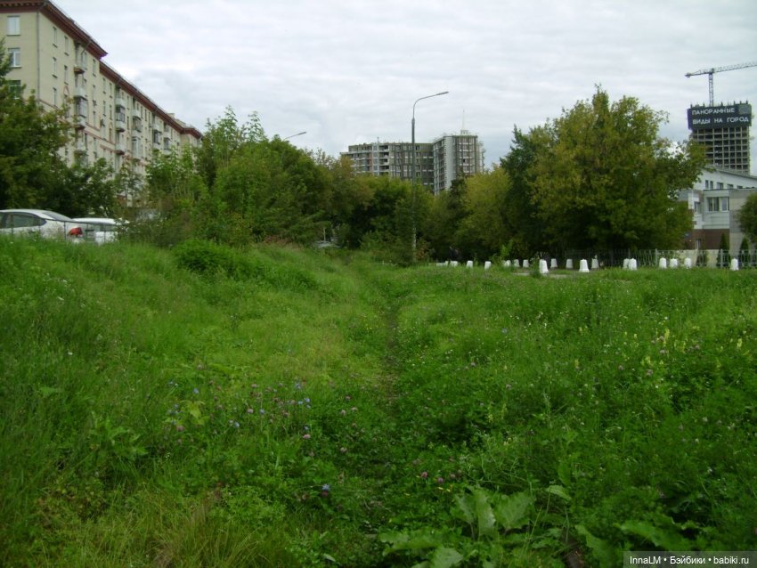 На заброшенной железнодорожной ветке (фото 7)