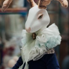 Животные, которые покорили сердца