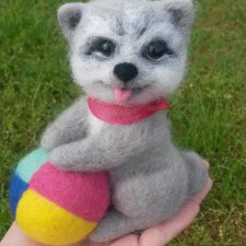 Щенок Фенди