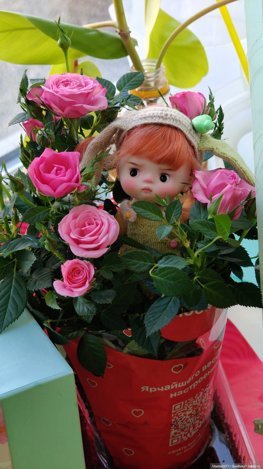 Как к Жу подружка приехала