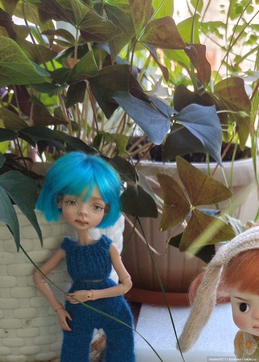 Как к Жу подружка приехала (фото 5)