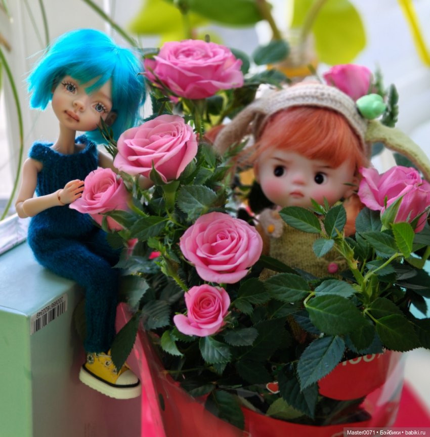 Как к Жу подружка приехала (фото 4)