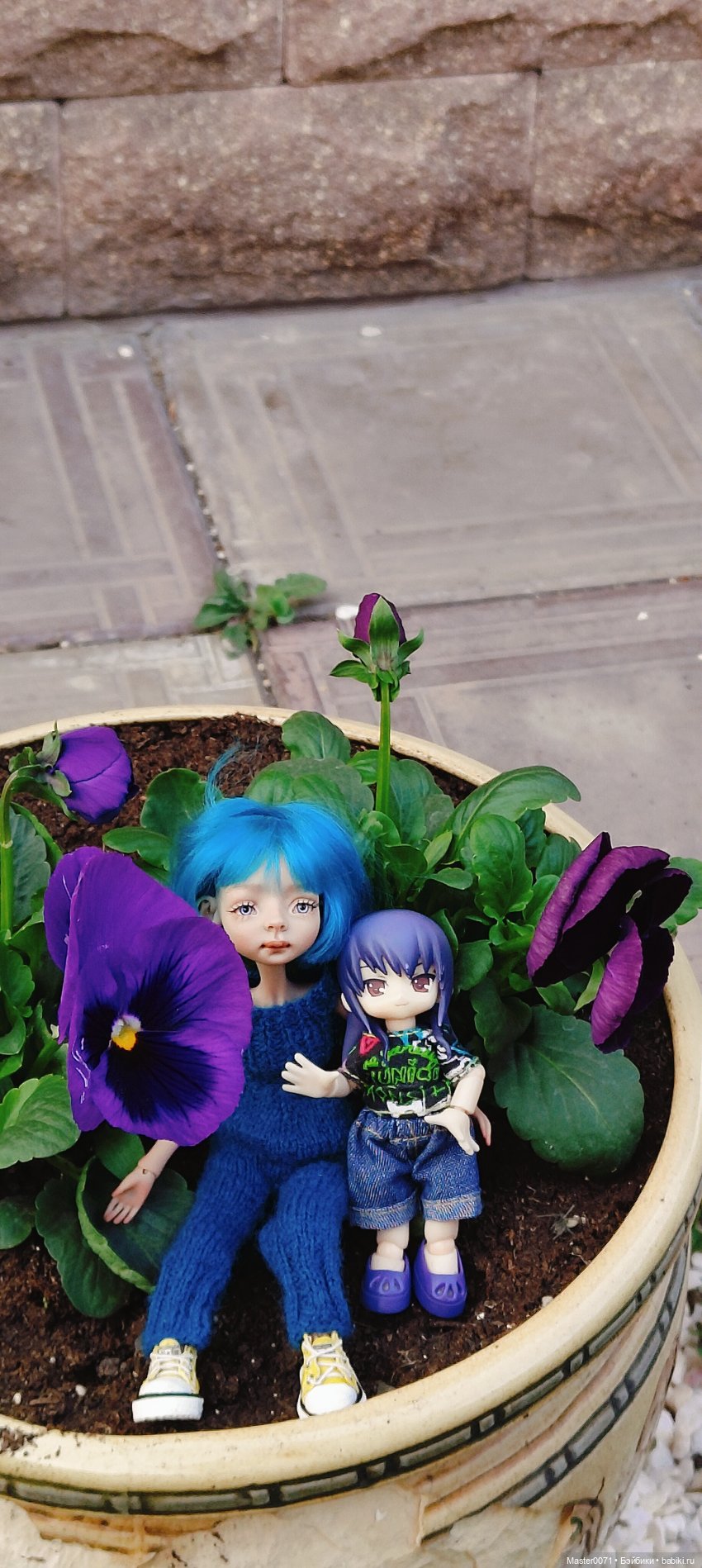 Моя Мика неожиданно вернулась❤️