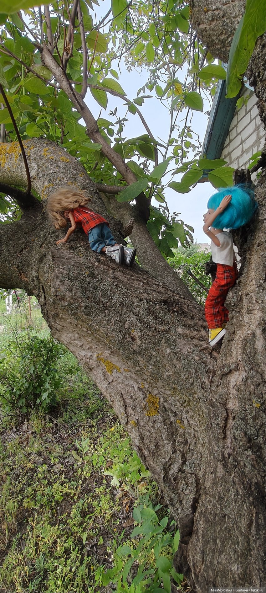 Приключения сестричек Жу — Фотоистории с куклами BJD (БЖД): сериалы