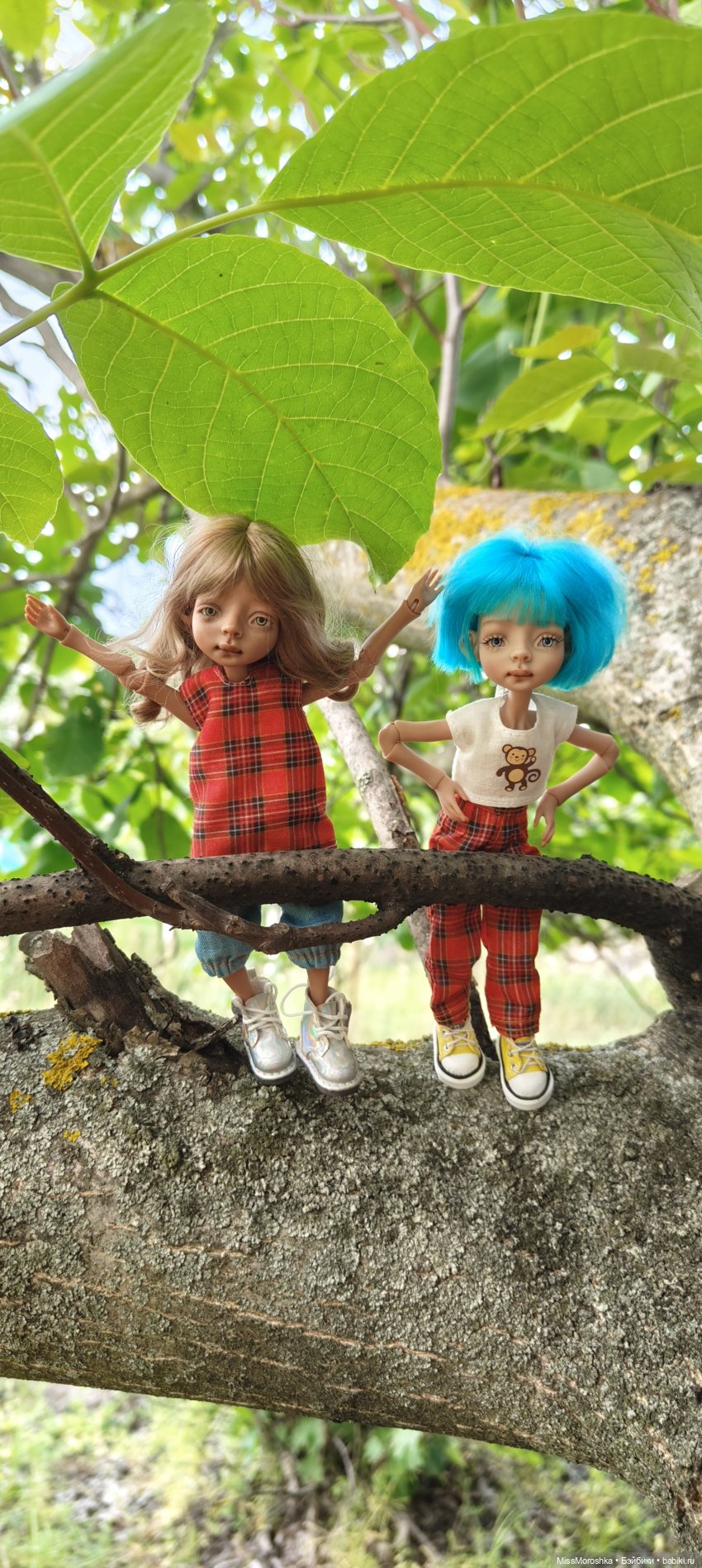 Приключения сестричек Жу — Фотоистории с куклами BJD (БЖД): сериалы