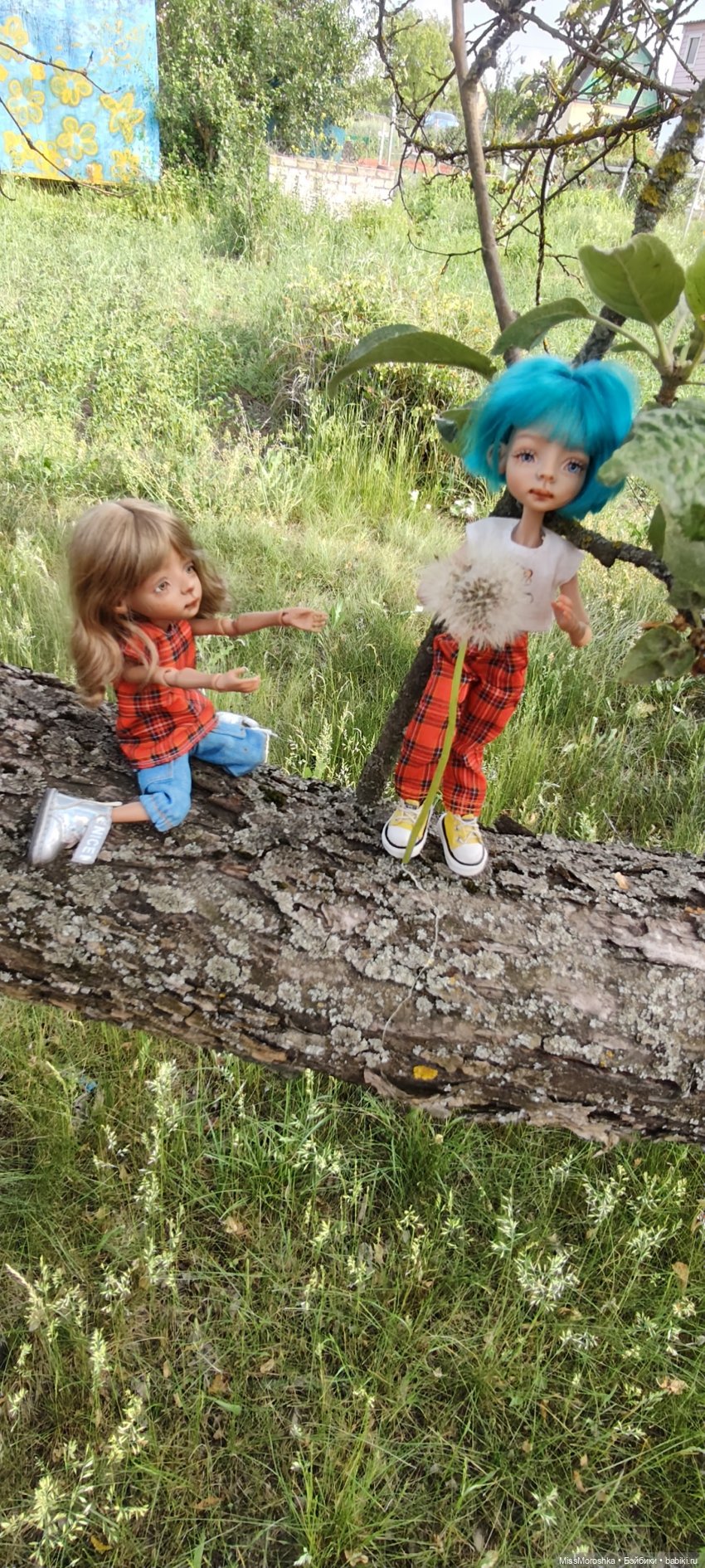 Приключения сестричек Жу — Фотоистории с куклами BJD (БЖД): сериалы