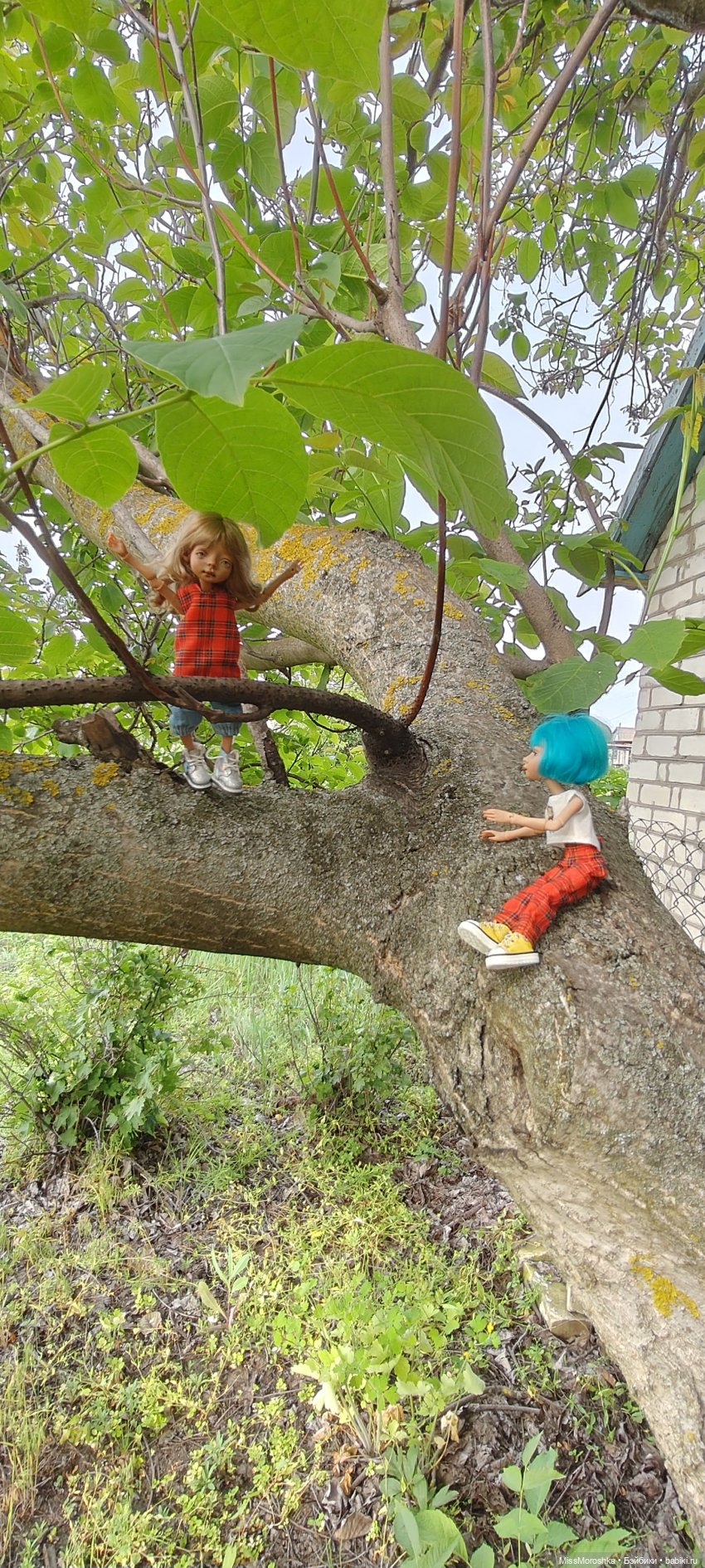 Приключения сестричек Жу — Фотоистории с куклами BJD (БЖД): сериалы