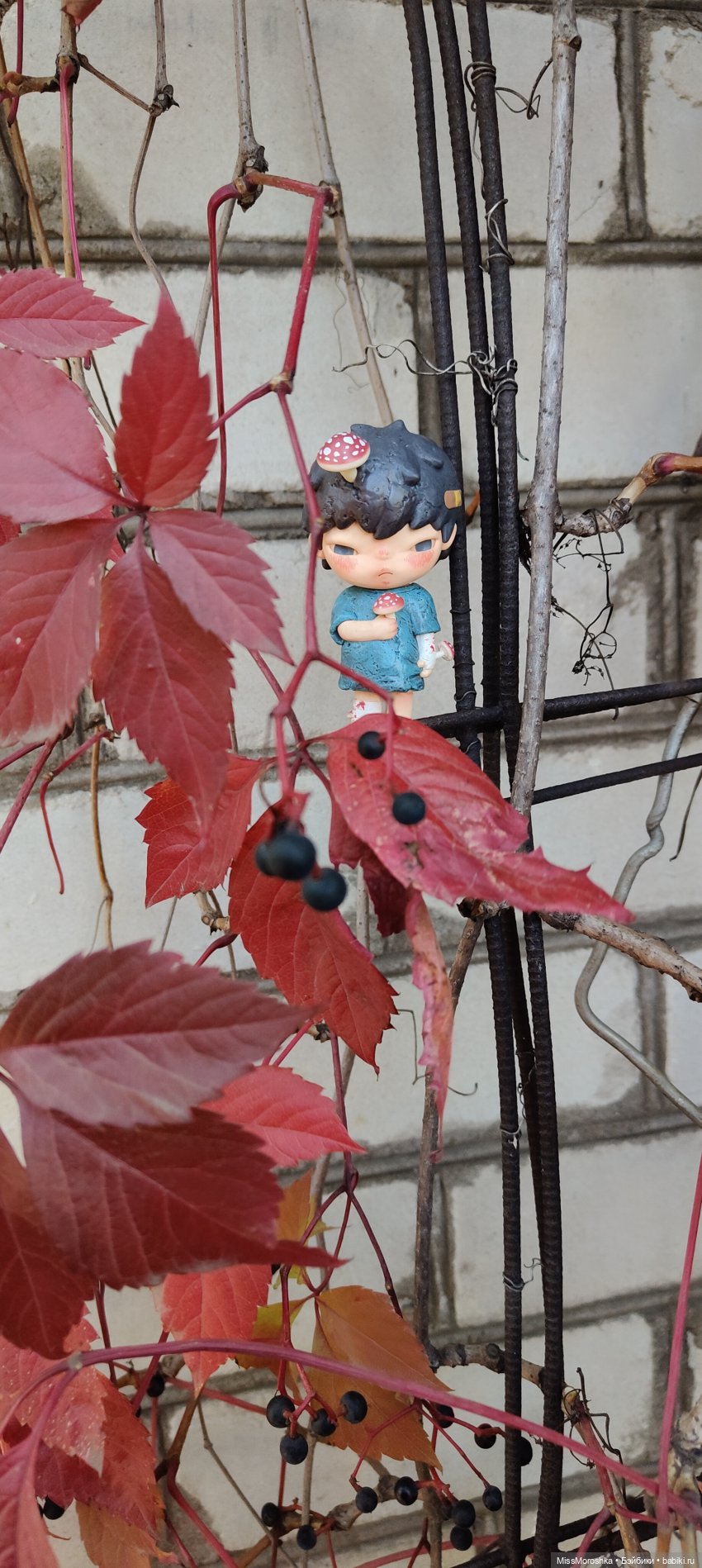 Вэнди и ко в осеннем саду🍁