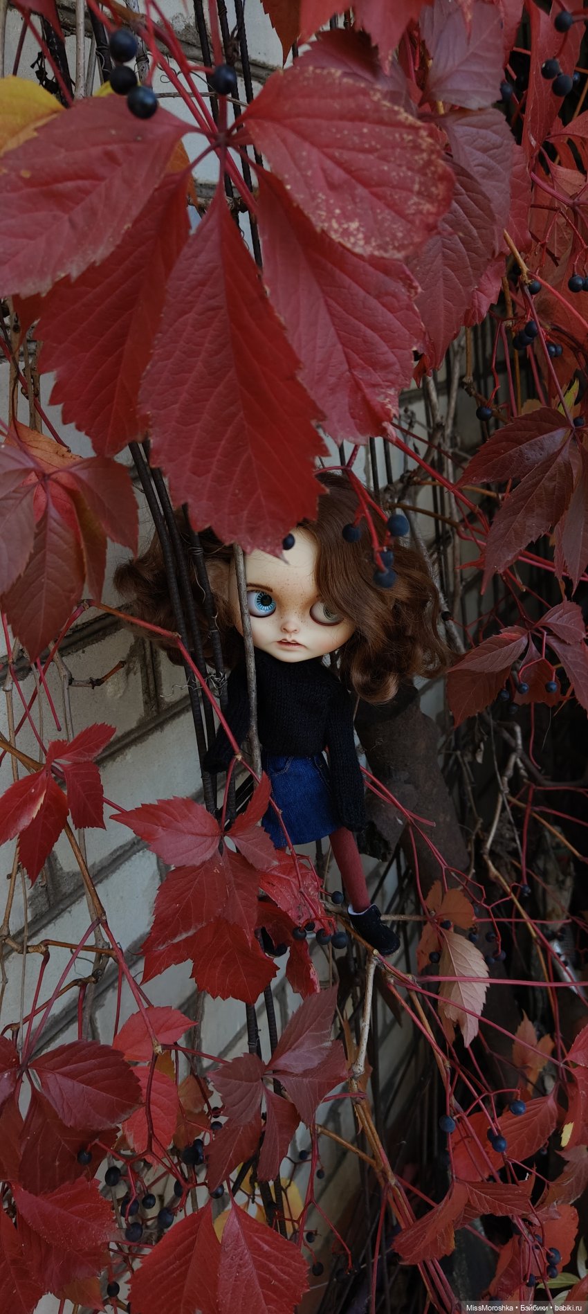 Вэнди и ко в осеннем саду🍁
