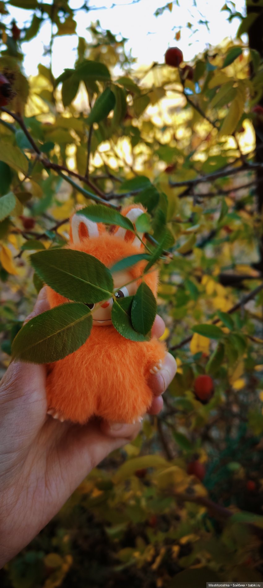 Вэнди и ко в осеннем саду🍁