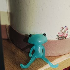 Маленький Wonder frog