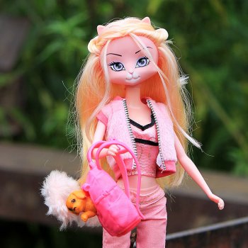 Неожиданный попутчик