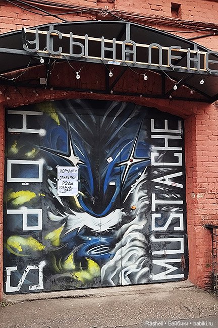 Отпуск 11/24. Гердочка продолжает гулять в СПб