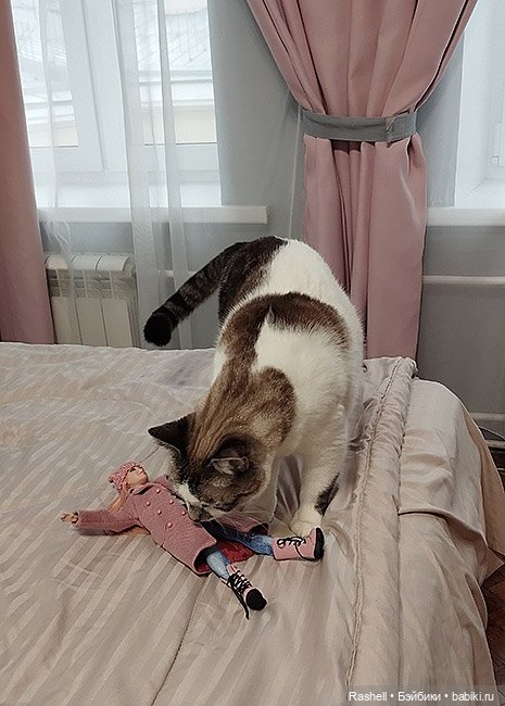 Отпуск 11/24. Гердочка продолжает гулять в СПб