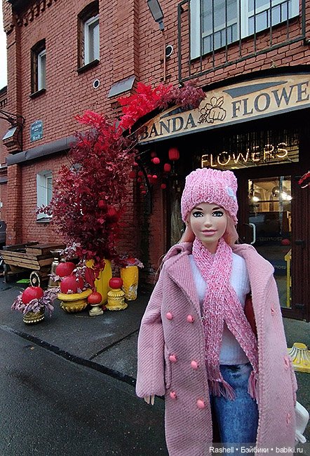 Отпуск 11/24. Гердочка продолжает гулять в СПб