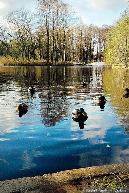 Отпуск 11/24. Гердочка продолжает гулять в СПб (фото 6)