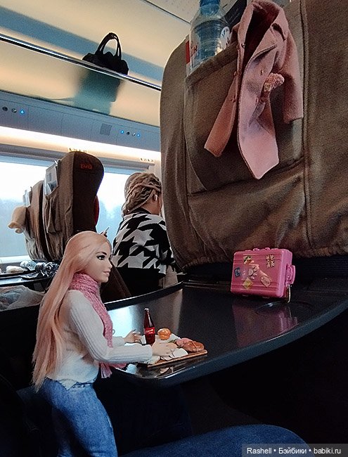 Отпуск 11/24. Гердочка продолжает гулять в СПб