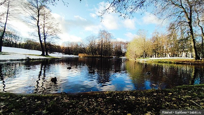 Отпуск 11/24. Гердочка продолжает гулять в СПб (фото 7)