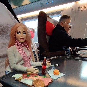 Отпуск 11/24. Гердочка продолжает гулять в СПб