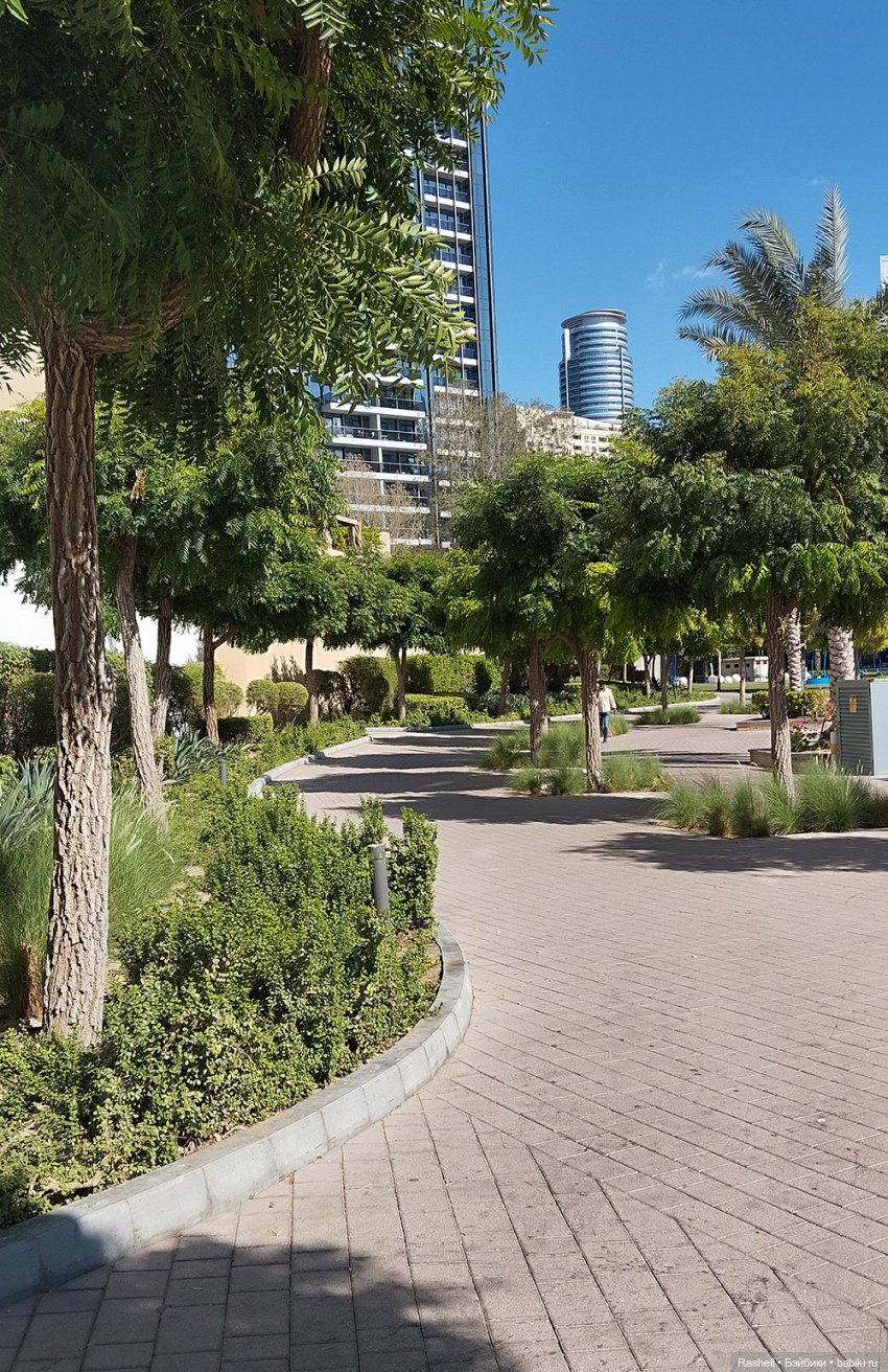 Отпуск 11/24. Гердочка опять в Дубае