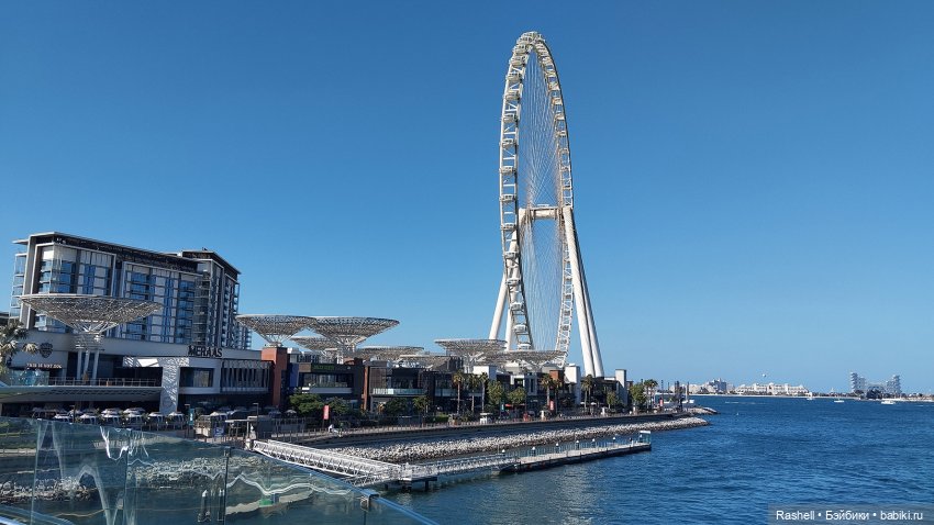 Отпуск 11/24. Гердочка опять в Дубае