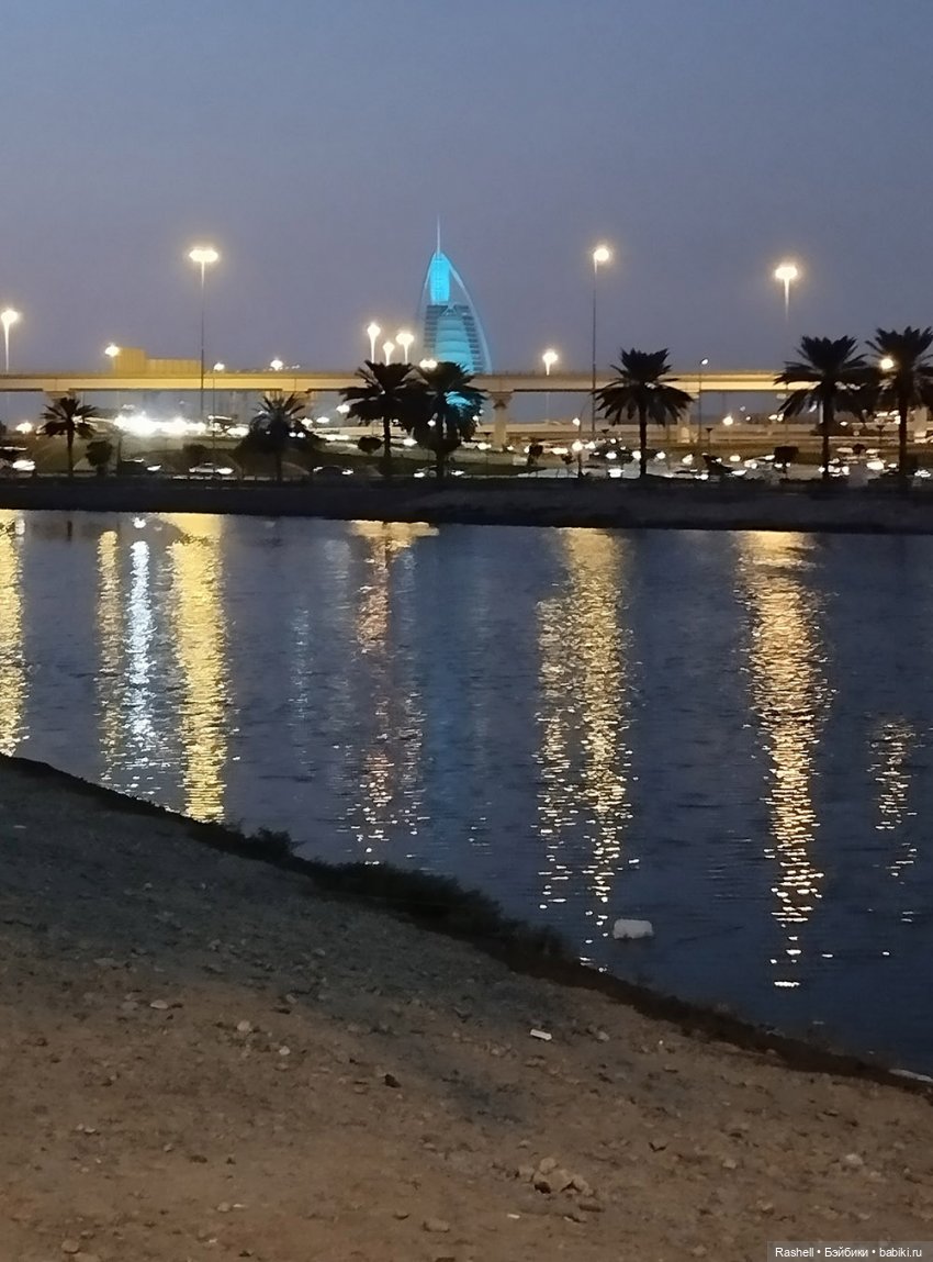 Отпуск 11/24. Гердочка опять в Дубае