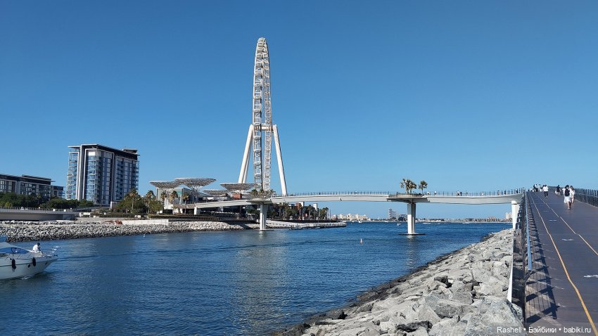 Отпуск 11/24. Гердочка опять в Дубае