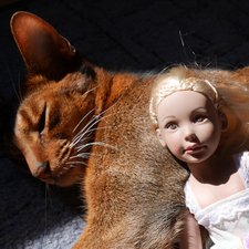 Лианн-Шерри - укротительница котов. LeeAnn от Denis Bastien