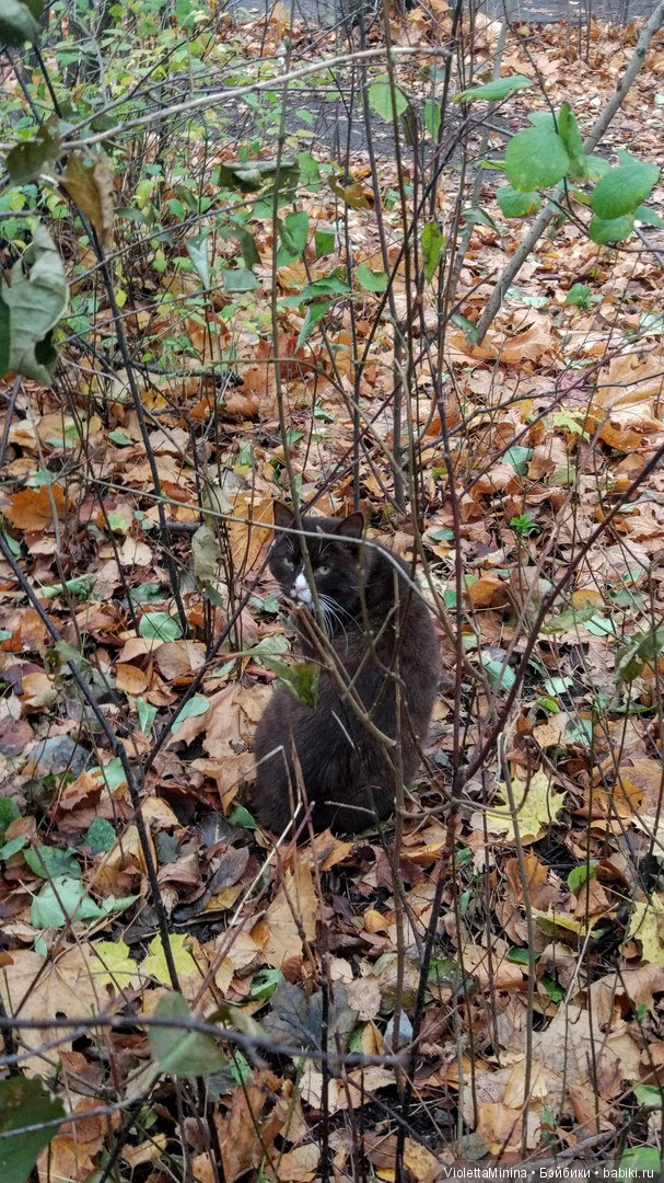И вновь проказницы Тулы (Tulаh) от Helen Kish (фото 2)