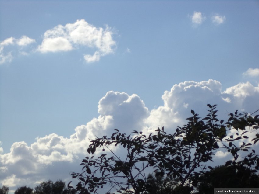 Как Бетти огурцы спасала — Испанские куклы (разное): Vestida de Azul (фото 9)