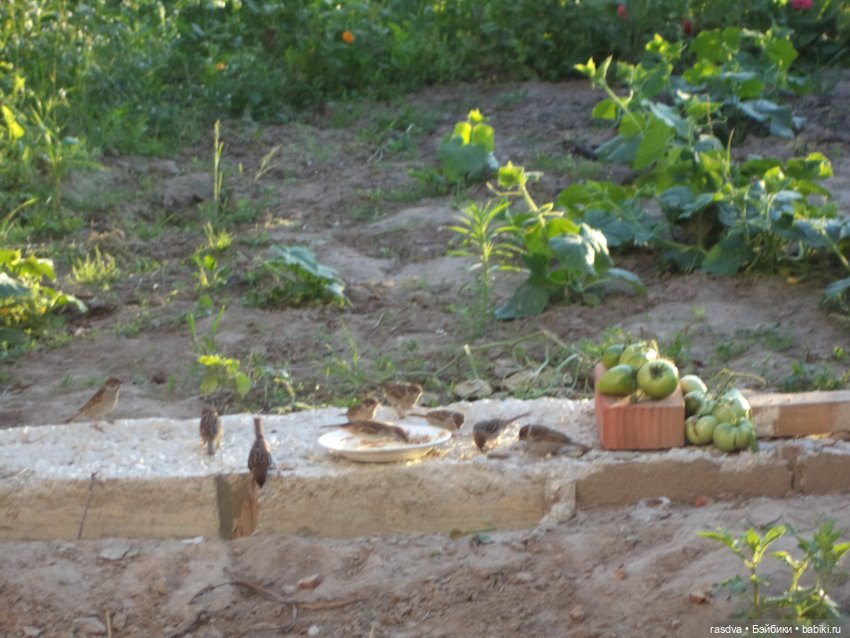 Опять очки пропали — Испанские куклы (разное): Vestida de Azul