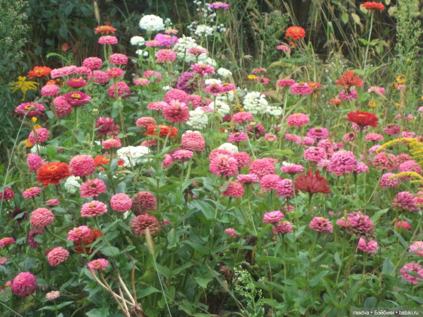 Опять очки пропали — Испанские куклы (разное): Vestida de Azul (фото 6)