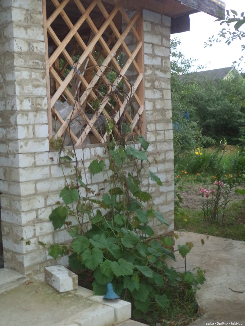 Бетти и смородина — Испанские куклы (разное): Vestida de Azul