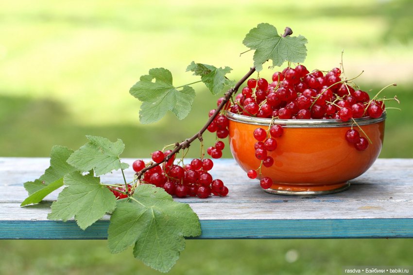 Бетти и смородина — Испанские куклы (разное): Vestida de Azul