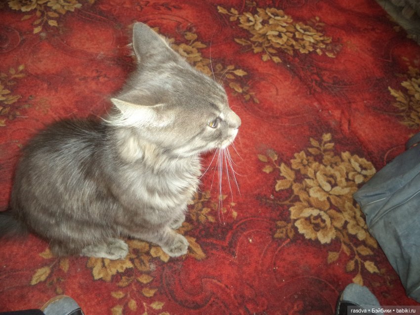 Незваный гость — Испанские куклы (разное): Vestida de Azul