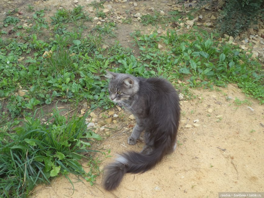 Незваный гость — Испанские куклы (разное): Vestida de Azul