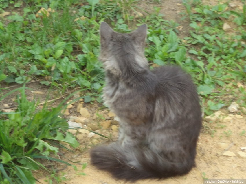 Незваный гость — Испанские куклы (разное): Vestida de Azul (фото 2)